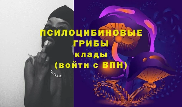 прущий лед Корсаков