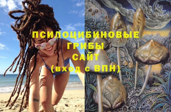 хмурый Костерёво