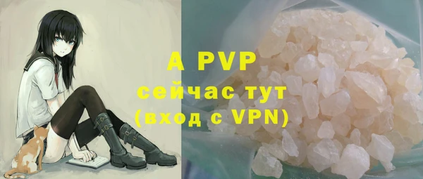 прущий лед Корсаков