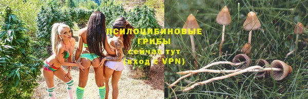 ALPHA-PVP Козловка