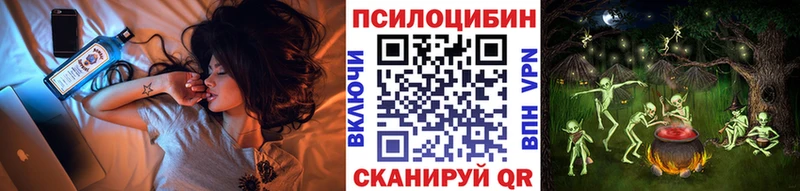 дарк нет состав  Котельники  omg как зайти  Галлюциногенные грибы Cubensis  купить наркотики цена 