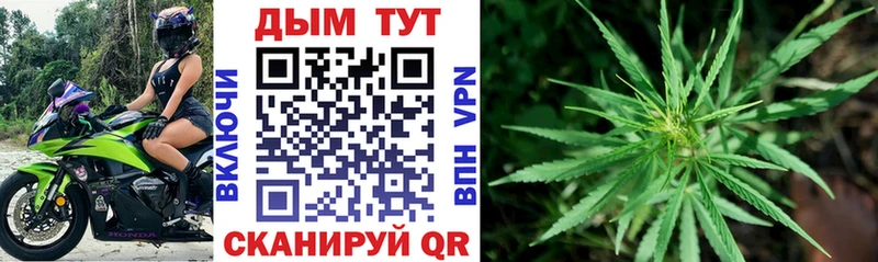Бошки Шишки SATIVA & INDICA  Котельники 
